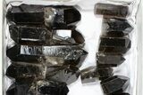 Lot: Lbs Cut base Smoky Quartz Crystals (-) - Brazil #77822-2